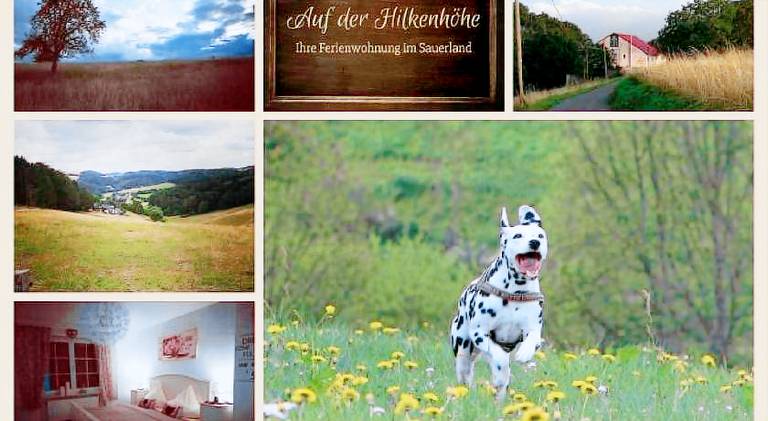 Rental apartment | Pets are welcome in Iserlohn