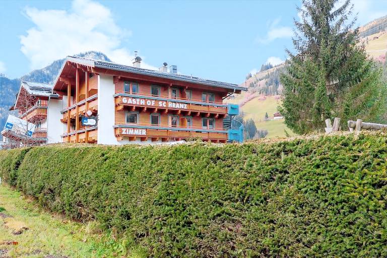 Ferienwohnung Wald im Pinzgau
