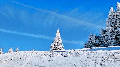 Apartma Semmering