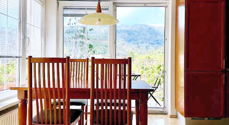 Holiday apartment with terrace & yard | Pet-friendly in Gorje
