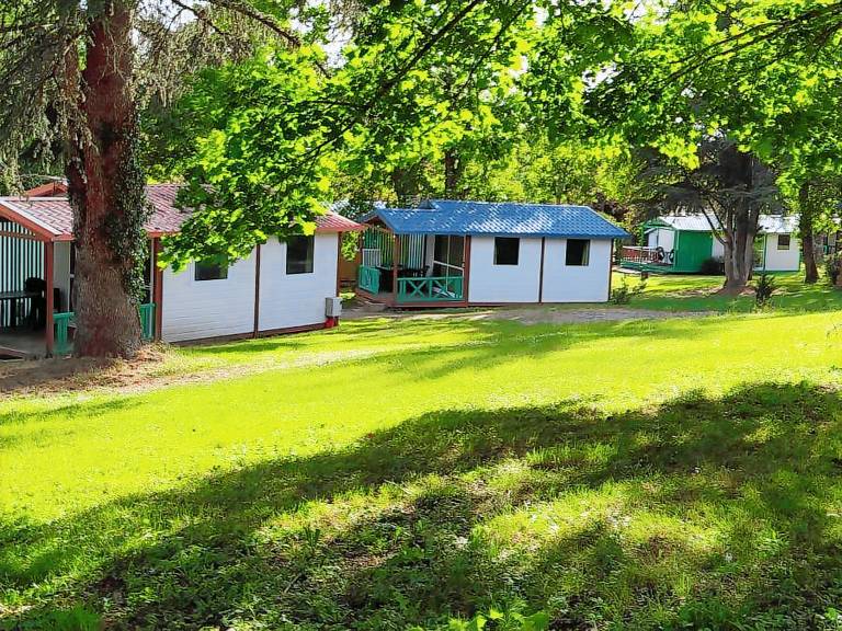 Family-oriented lovely chalet with heated pool & terrace | Dogs allowed — photo 2