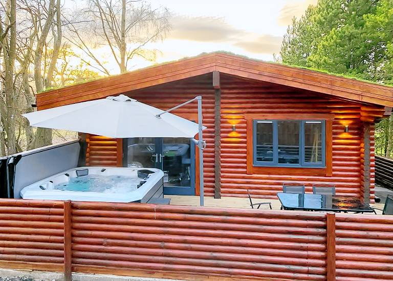 Aspen Log Lodge