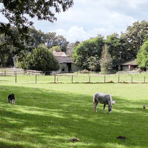 Bed & Breakfast  Eersel