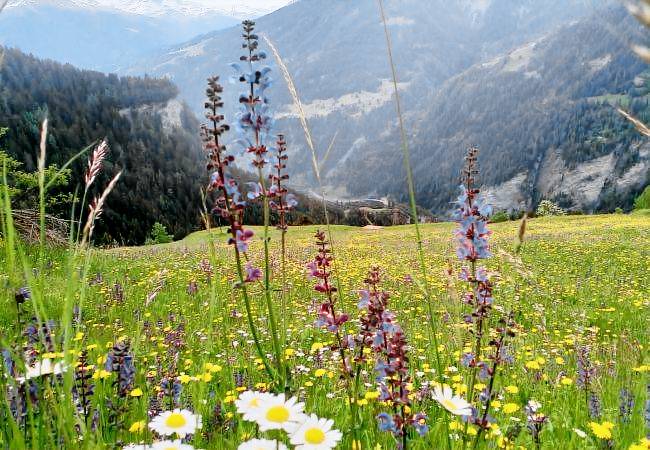 Ferienwohnung Chur