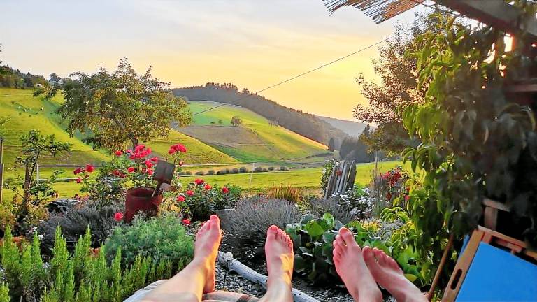 Ferienhaus  Freiamt