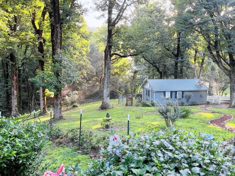 Cabin Big Canoe