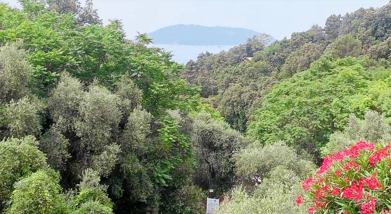Apartment with 1 room for 4 persons in Lerici