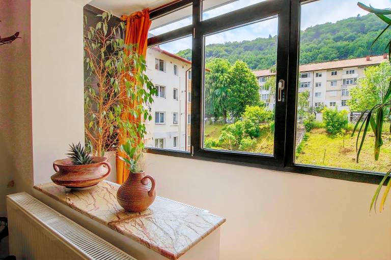 Apartament Sinaia