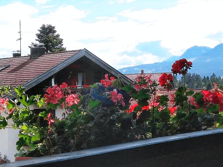 2-Raum-Ferienwohnung Am Dorfbach — photo 2