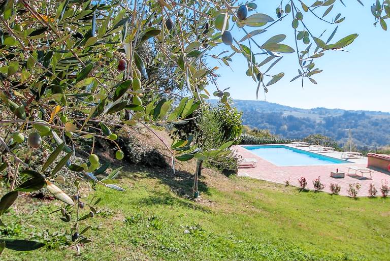 Family-oriented lovely farm with garden, barbecue & pool | Garden view | Pets are welcome — photo 5