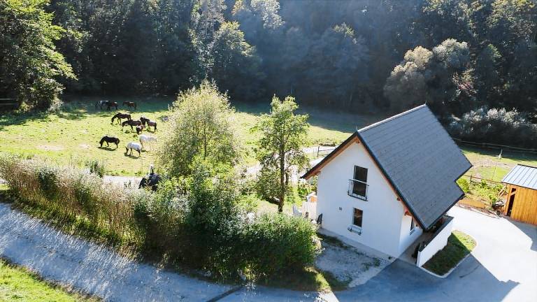 Ferienhaus Waldviertel