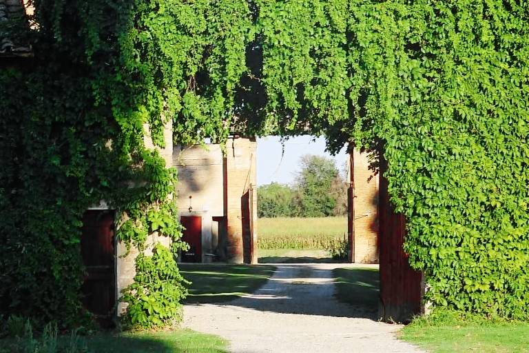 Agriturismo Palazzo Minelli: Appartamento — photo 5