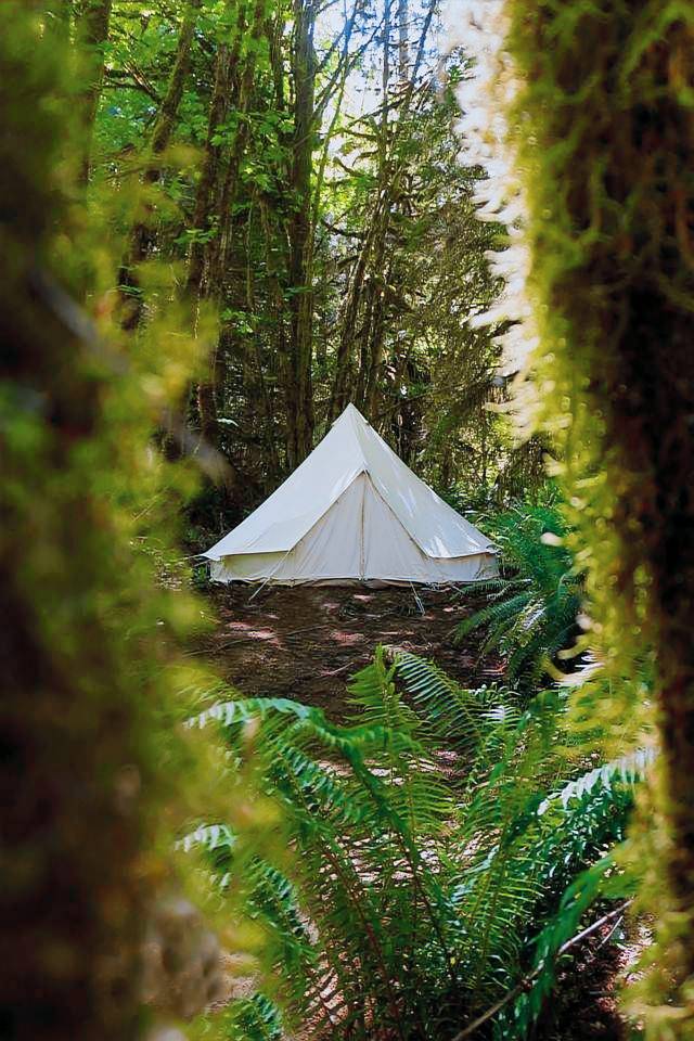 Camping Clallam County