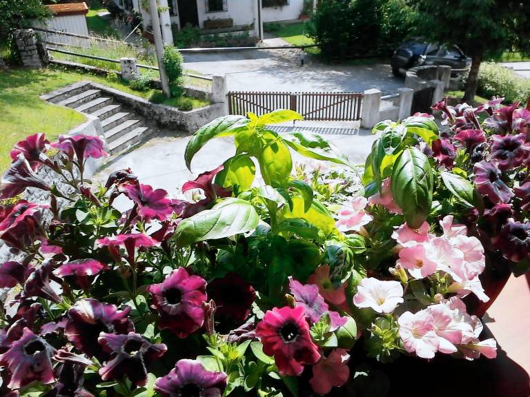Family-friendly apartment with yard & BBQ | Garden view | Pets allowed — photo 4