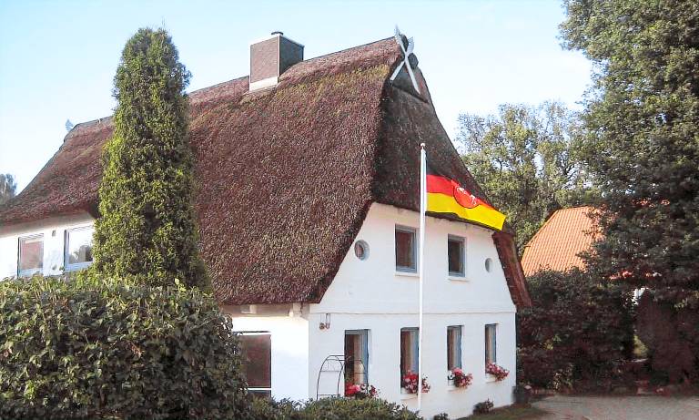 foto1