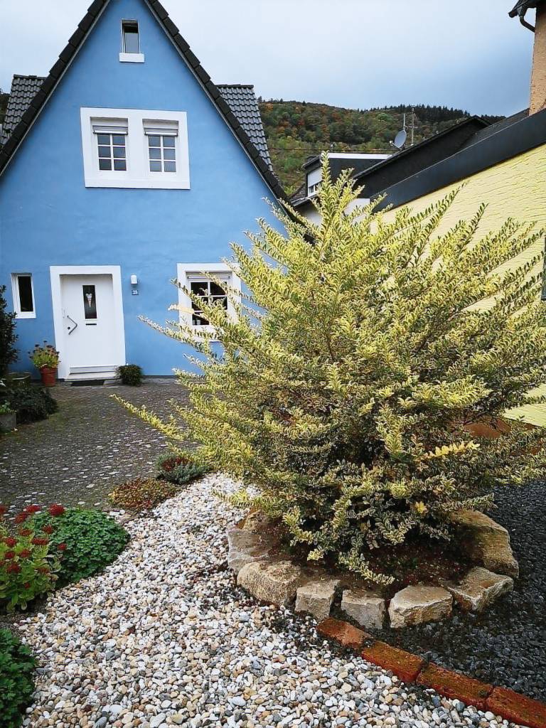 Ferienhaus  Zeltingen-Rachtig