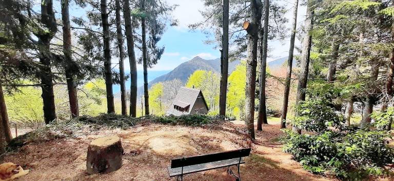 Chalet Trarego Viggiona