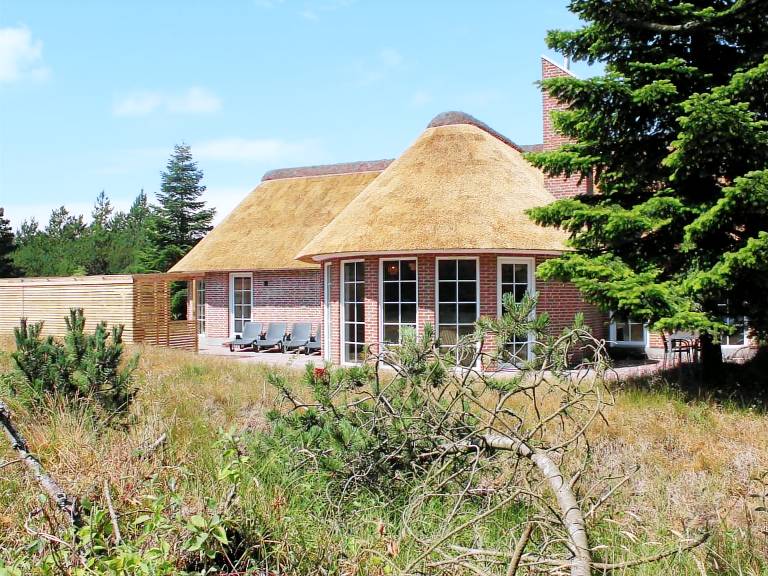 Ferienhaus Blåvand