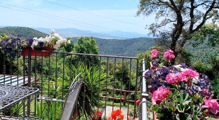 B&B Arcobaleno — photo 4