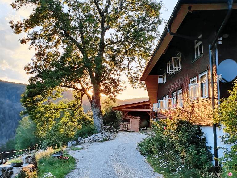 Bild zu 3256c5138a488122