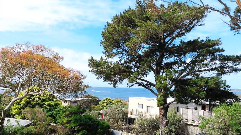 House San Remo