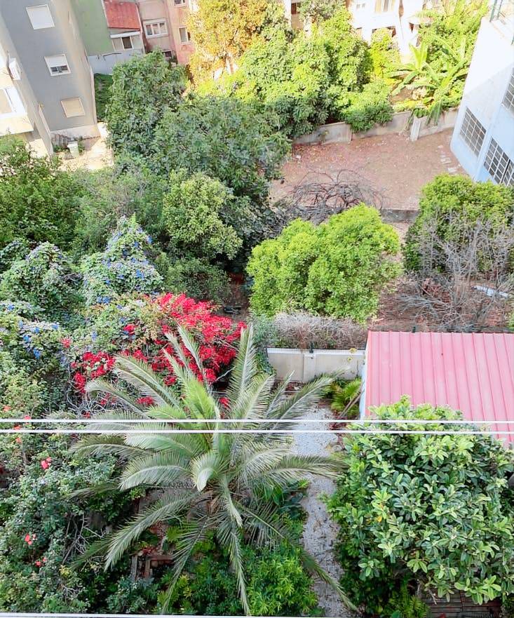 Apartment Lisbon
