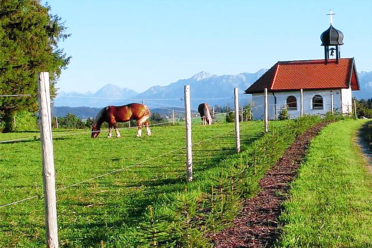 Casa Ried