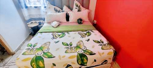 foto3