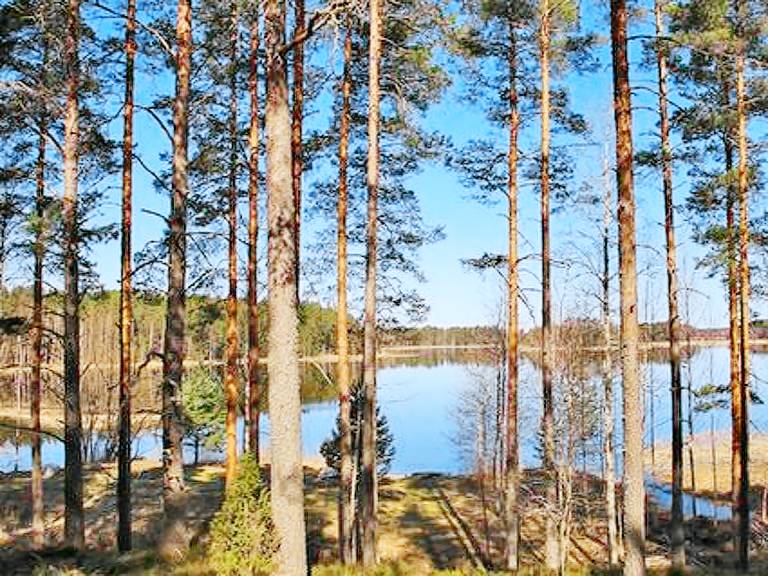 House with sauna | Nature view | Dogs allowed — photo 2