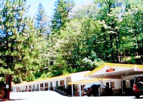 Golden Chain Motel — photo 4