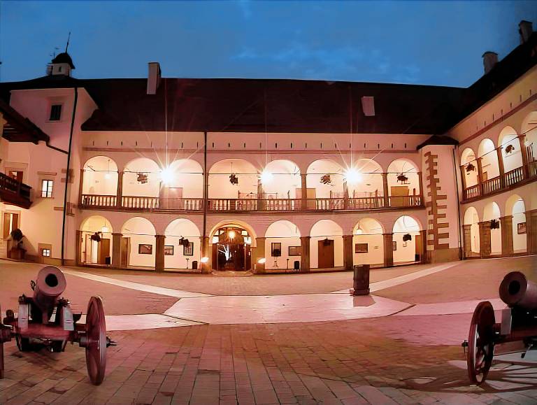 Zamek Krolewski w Niepolomicach in Wieliczka