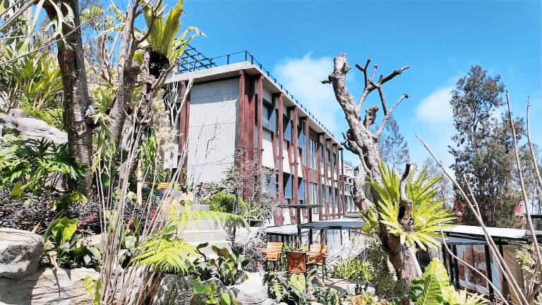 Jambuluwuk Bromo Poshtel