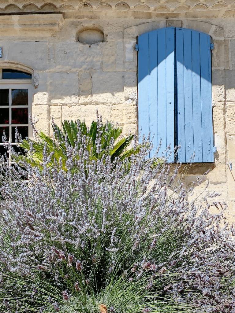 Maison de vacances Arles