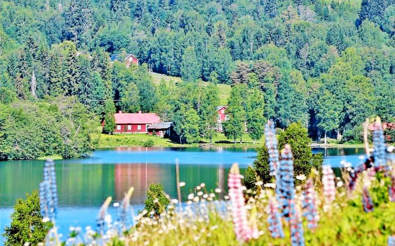 Boende Hagfors