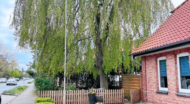 Rental apartment with barbeque, patio & garden in Lueneburg