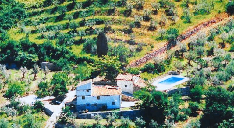 Nice farm with garden, patio & pool | Dogs allowed in Fiesole