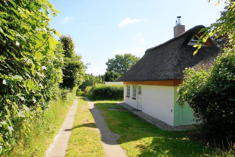 foto2