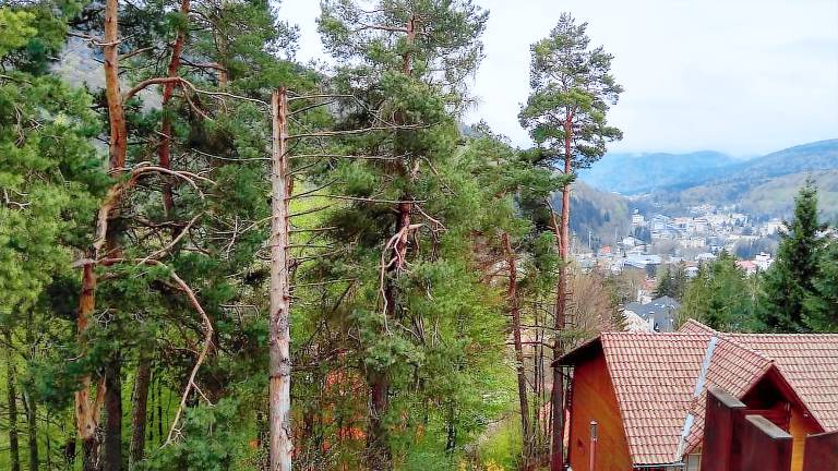 Nocleg  Sinaia