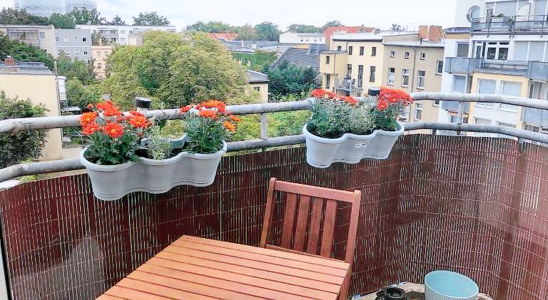 Wonderful rental apartment | Pet-friendly — photo 5