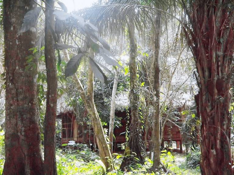 Lodge Tambopata