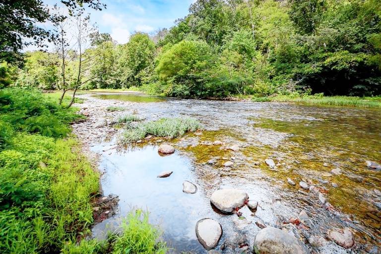 Pool + Riverfront! Couples Retreat in Smoky Mtns — photo 3