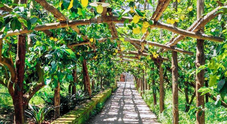 Nice farm with yard & terrace | Close to the beach | Pets allowed in Massa Lubrense