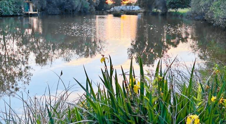 Les Rives De Bel Air - Hebergements - Camping - Caravaning in Mayenne