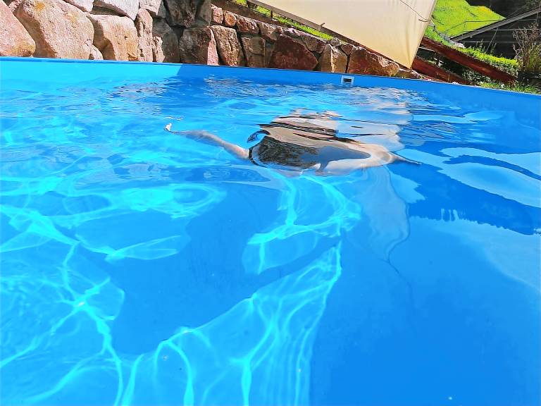 Ferienwohnung Bad Peterstal-Griesbach