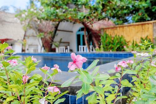 Hostel  Gili Islands