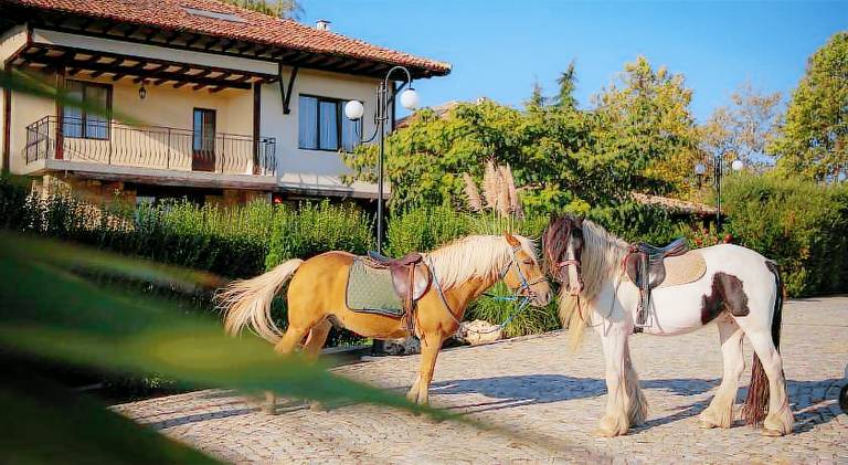 Villa with yard, patio & barbeque in Varna