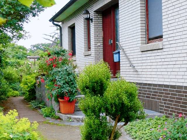 foto4