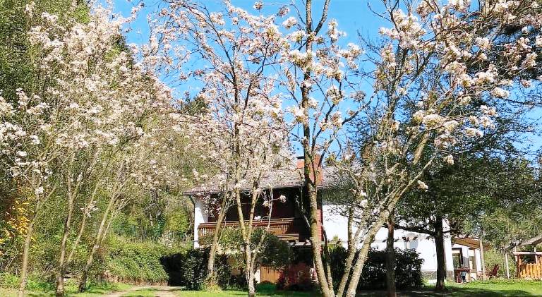 Ferienwohnung Spessart