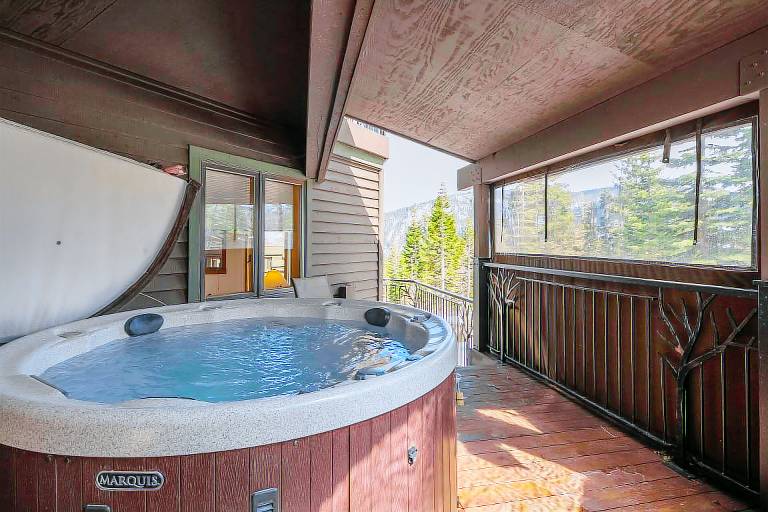 House  Alpine Meadows
