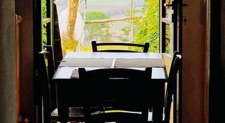 Farm with patio, yard & grill | Dogs allowed — photo 5